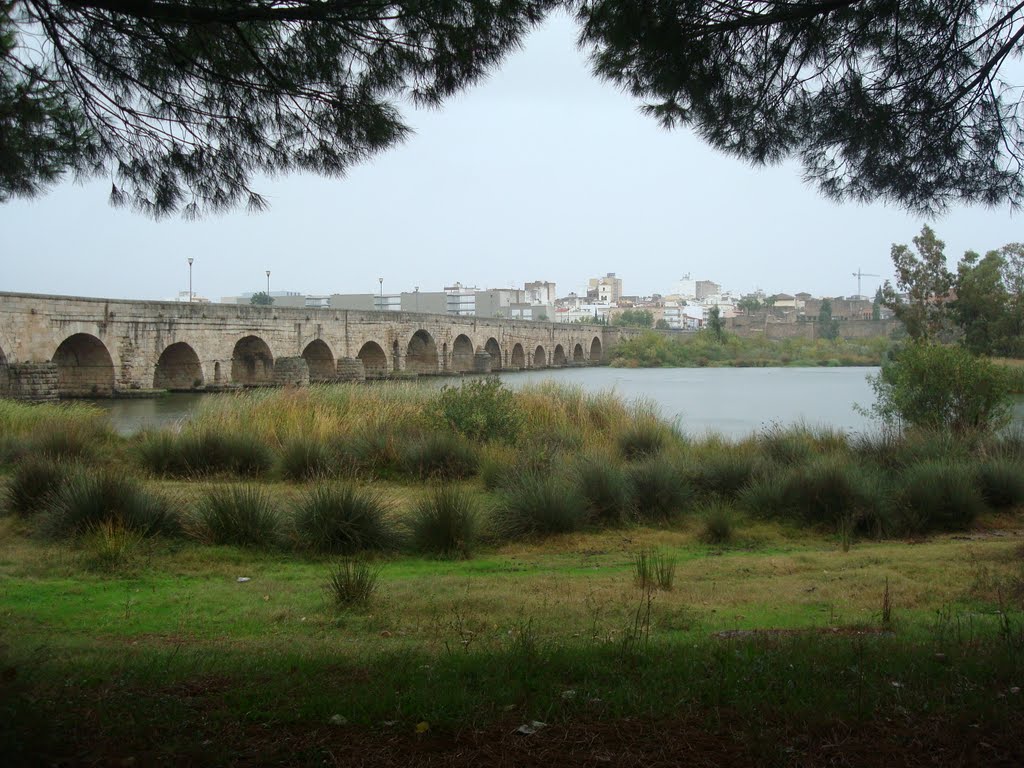 Cruzando el Guadiana 3 by Margari Nogales