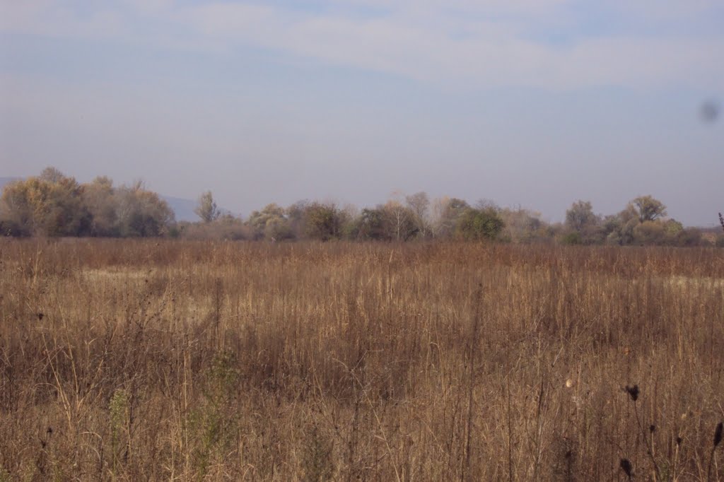 Poljane kod L.Stene, Niš by Aleksa Randjelovic