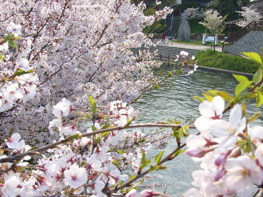 Fushimi Kyoto by higashiyama