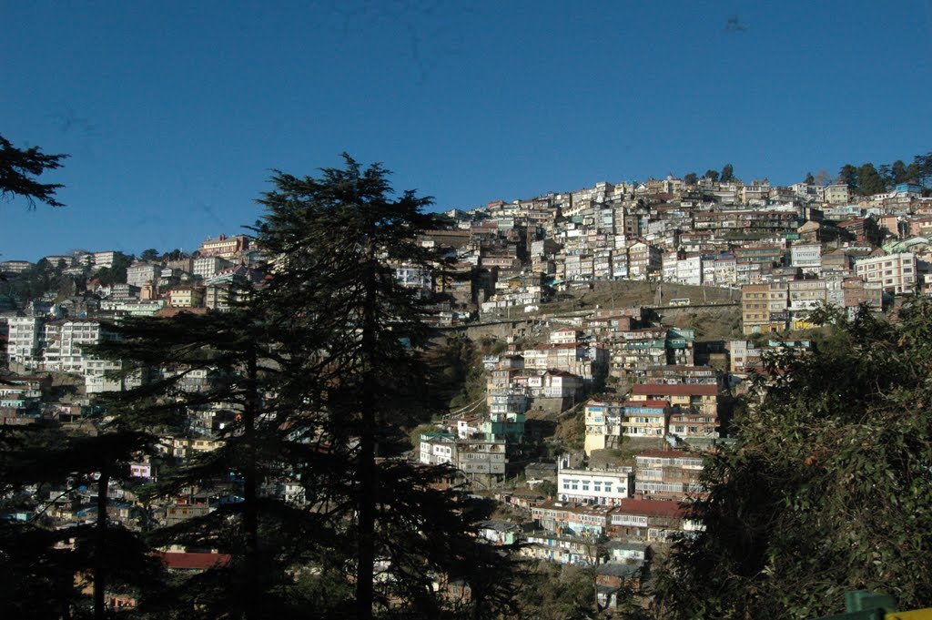 Decent. View from Toy Train to go to Shimla 2009 by mehrab15262