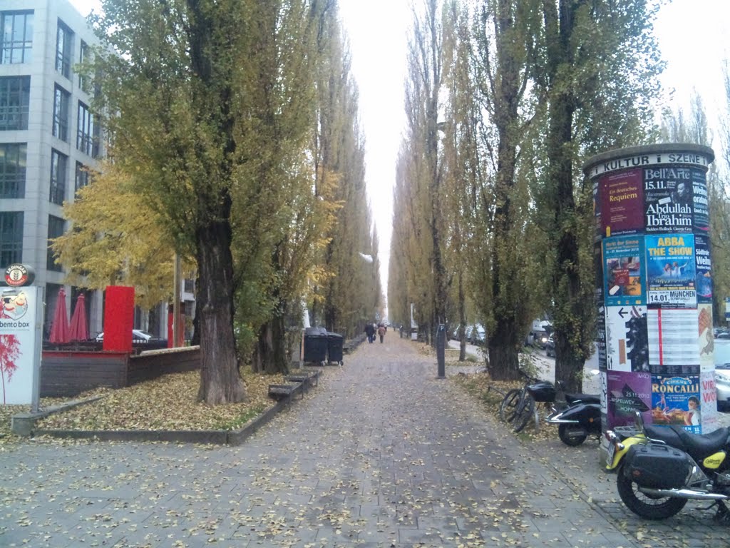 Munich Street (Leopoldstraße) by denjiro777