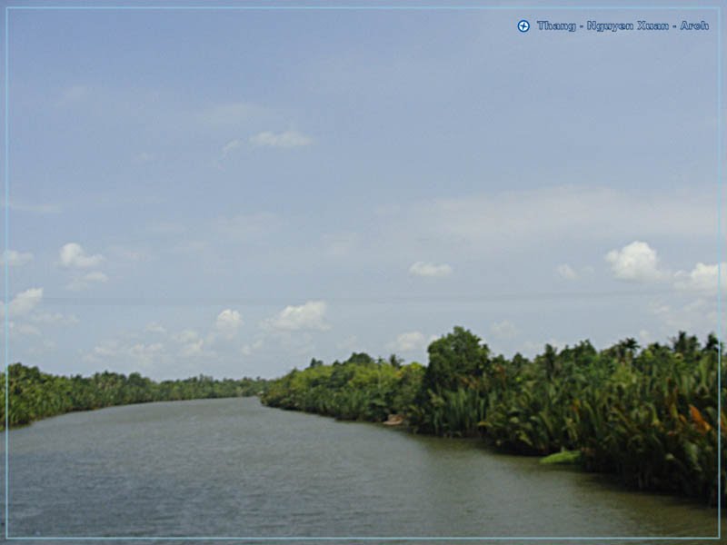 Rạch - Dừa Đỏ - River by Thắng Nguyễn Xuân