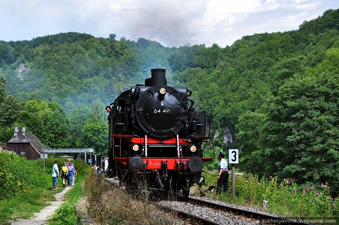 Dampfzug in Behringsmühle by Pavlo Dyban