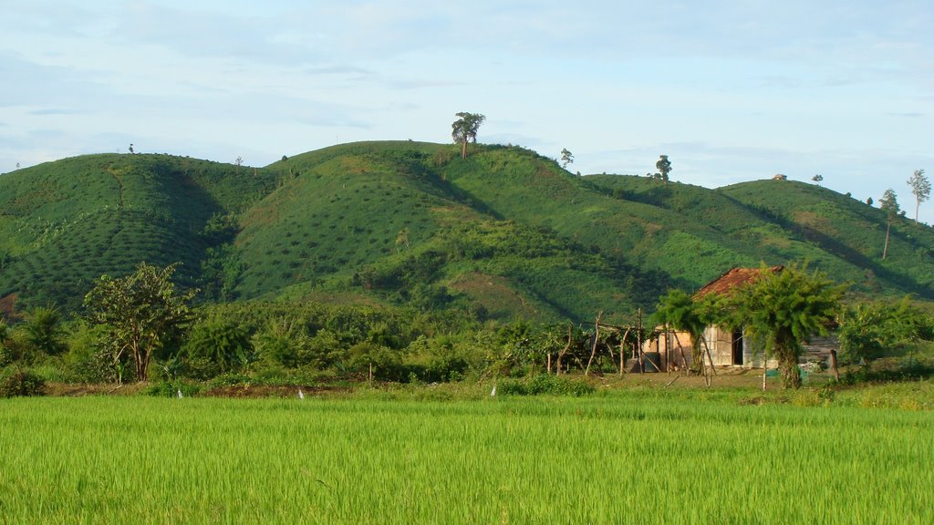 Ruộng Đồi Cư Jút by Nhựt Trịnh Minh