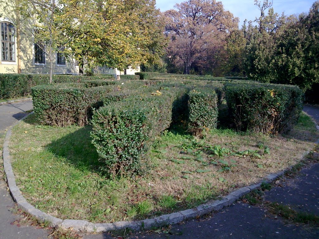 Museum - Oradea by Son of encouragement