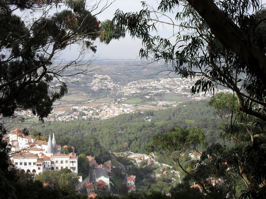 Sintra Palace III by gordo1958