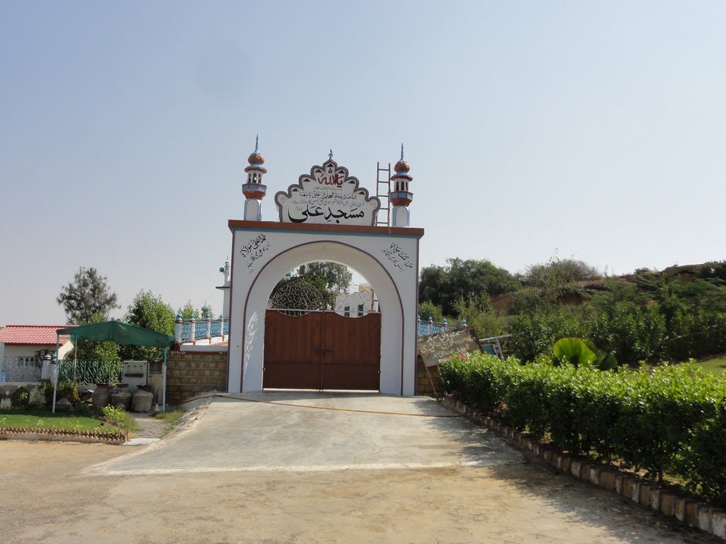 Hazrat Ghulam Nabi Shah Al Maroof Samandari Serkar Near Karachi Sindh by Mir Meharullah Talpu…