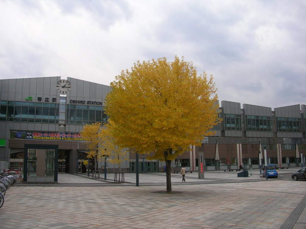 帯広駅　晩秋（Late autumn of Obihiro Sta.） by pakku