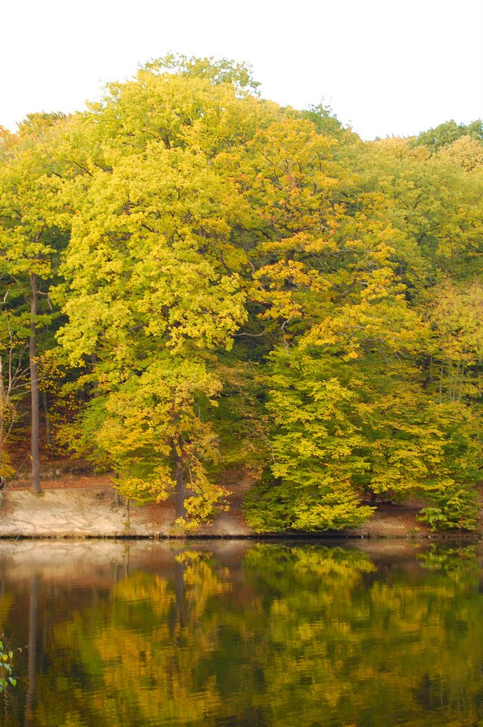 Forêt de Meudon by Les Argonautes