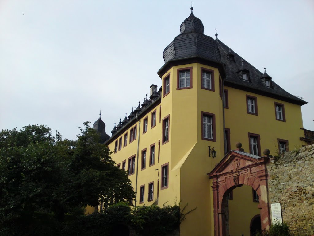 Oestrich-Winkel - Schloss Vollrads by Anakinkris