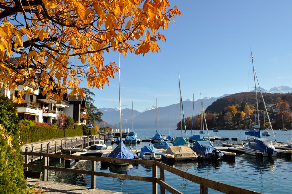 Bootsanleger in Spiez by Silvia Schelling