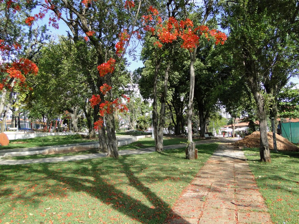 Jardim do Limeira Clube, Limeira, SP, Brasil. by joão humberto sumere