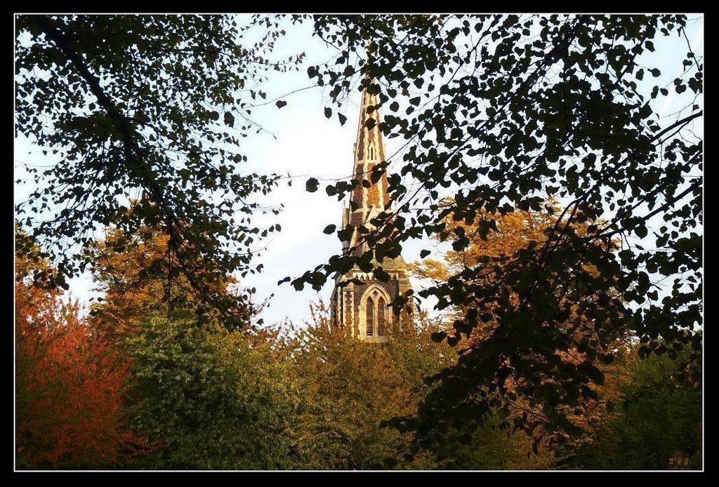 Autumn, Christ Church Turnham Green October 2010 by Jon Perry