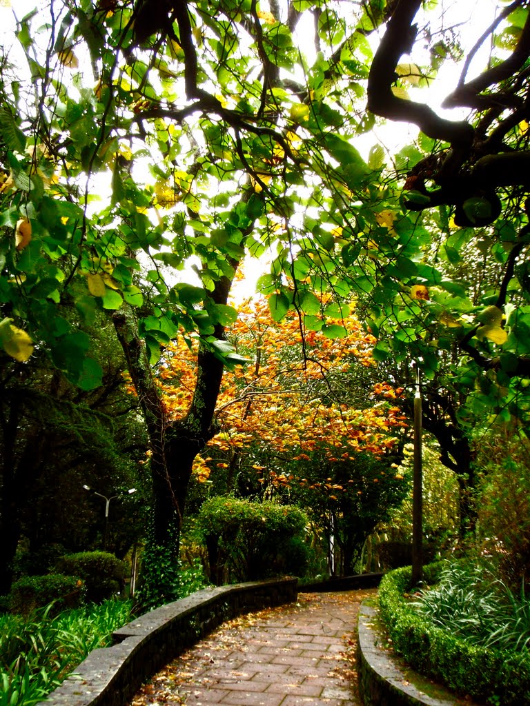 Parque da S.ra da Saude by Guizel