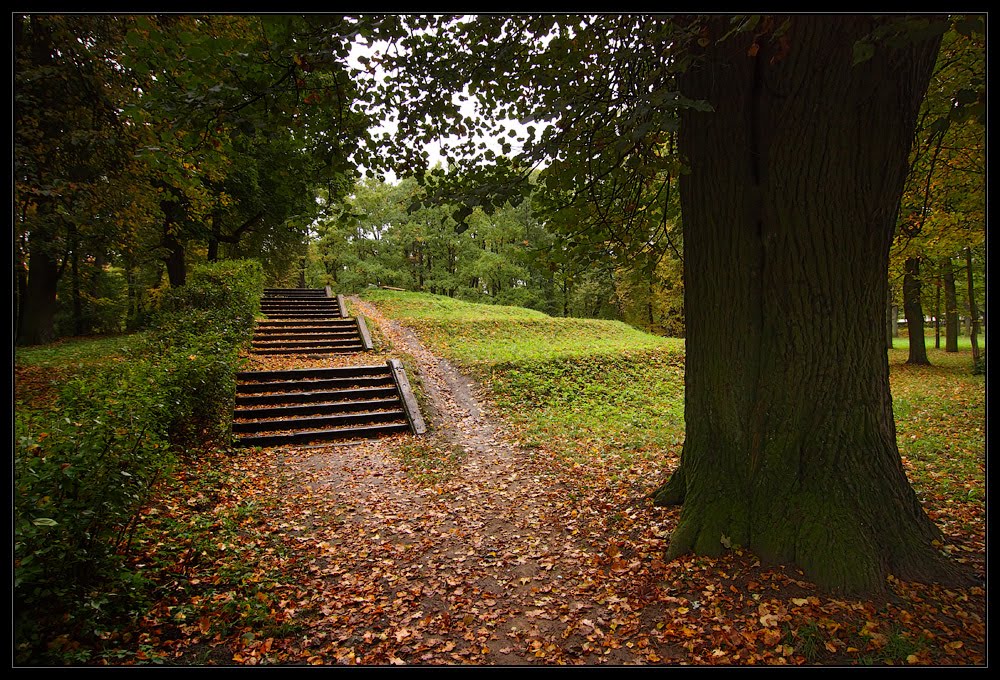 Gatchina, Leningrad Oblast, Russia by Synoptic