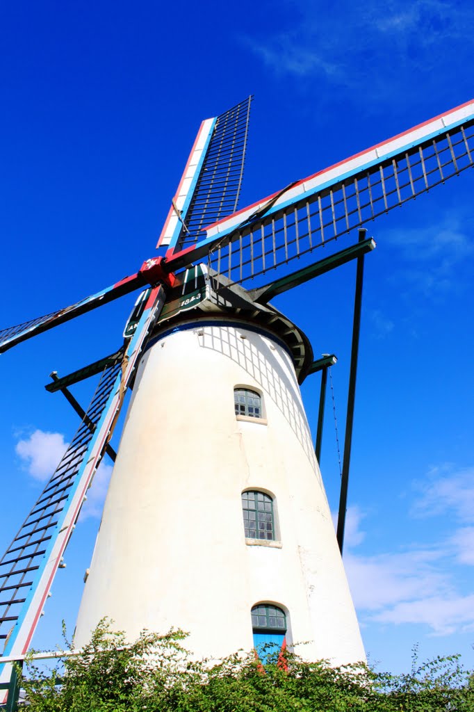 Windmill " 't Nupke" (1843) by © cvandermeijden