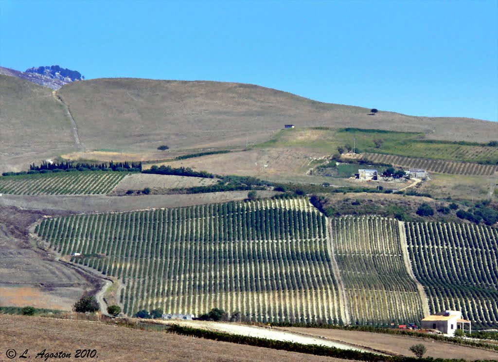 Typical Sicilian countryside in autumn... by Lohn Agoston