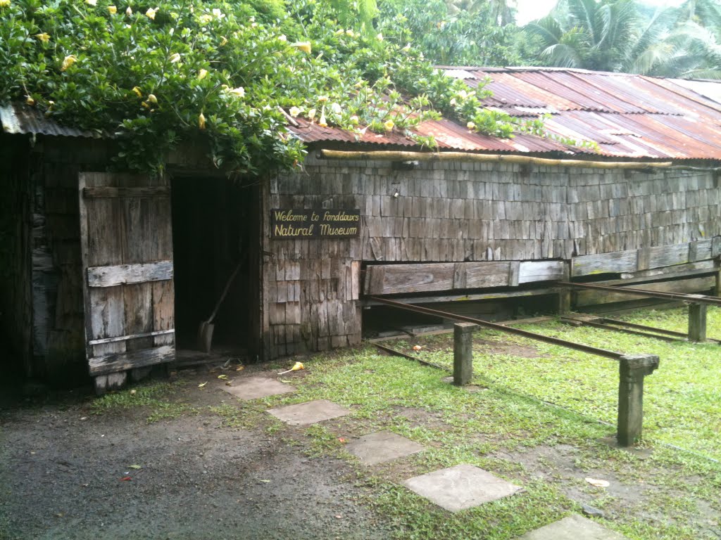 Cocoa Fermenting Shed by ChrisCoffman