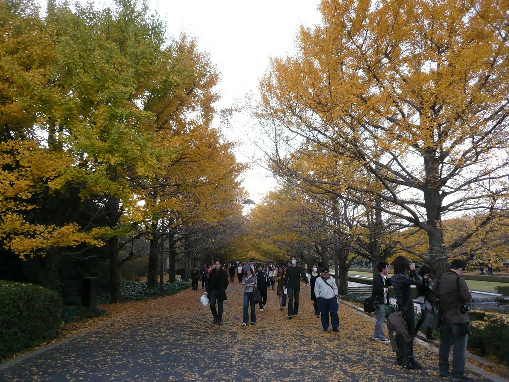 国営昭和記念公園 (東京都立川市) (Showa Kinen Park, Tachikawa City, Tokyo, Japan) by scarbo