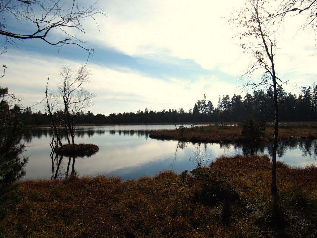 Wildsee 17.11.2010 by Frank Kiefer