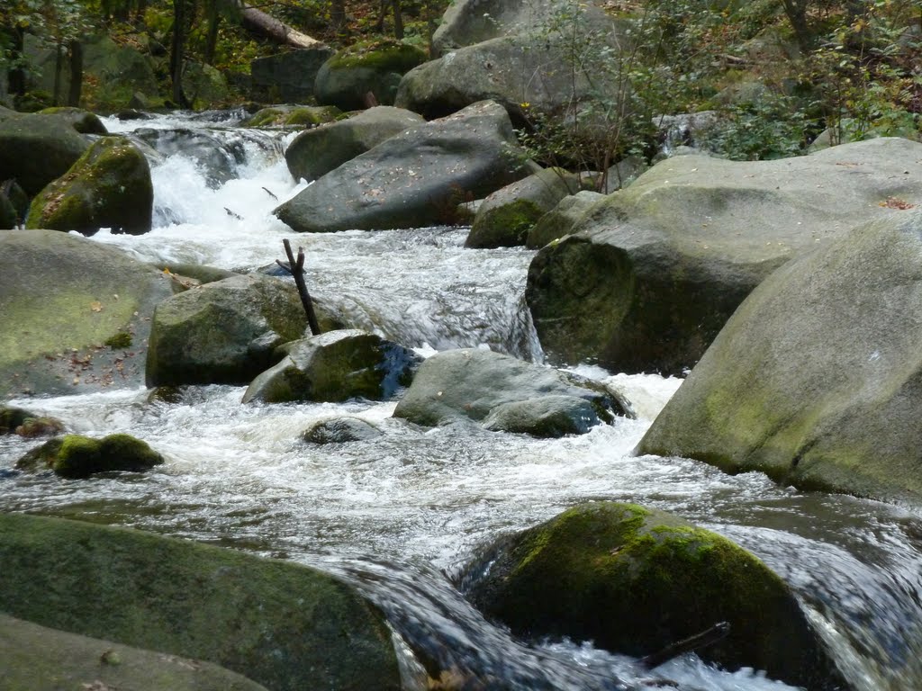 Oker...harz by f.h ehrenberger germ…