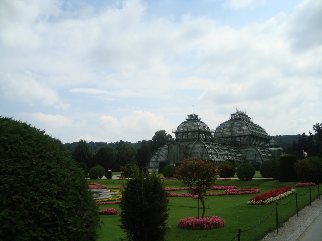 Schönbrunn, Wien, Austria by margibpl