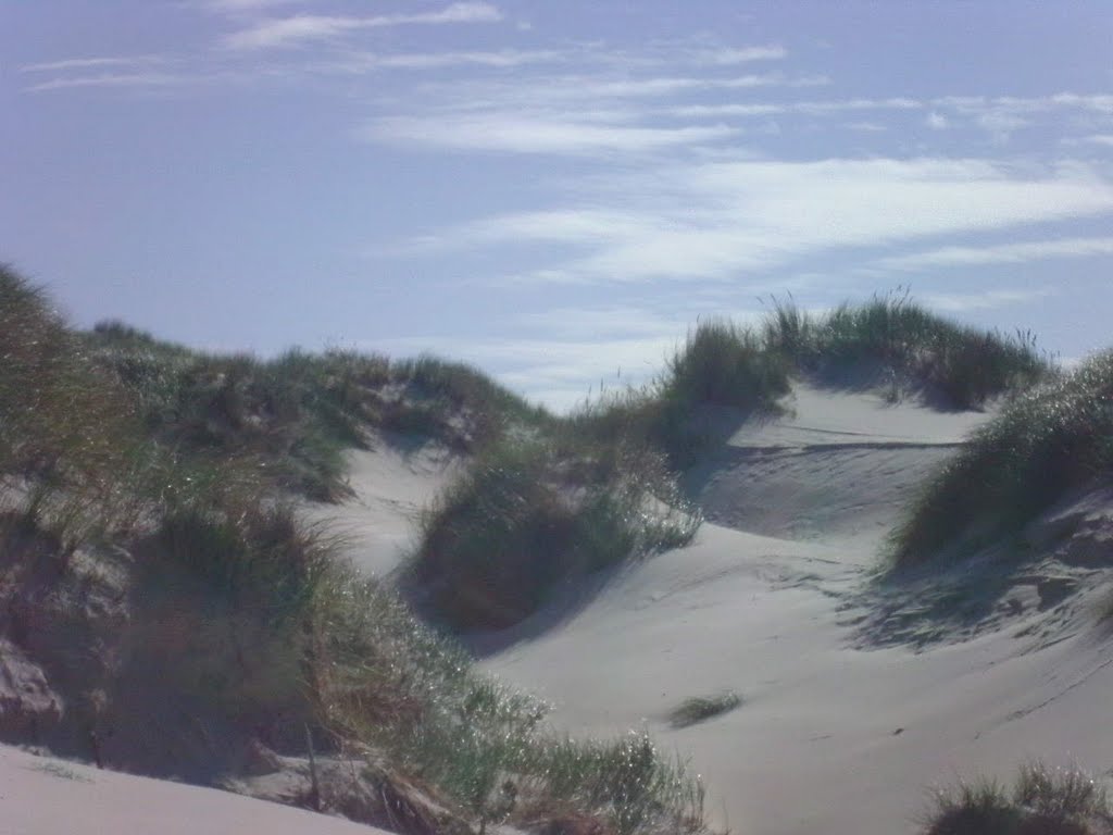 Amrum Dünen by Christoph Rohde