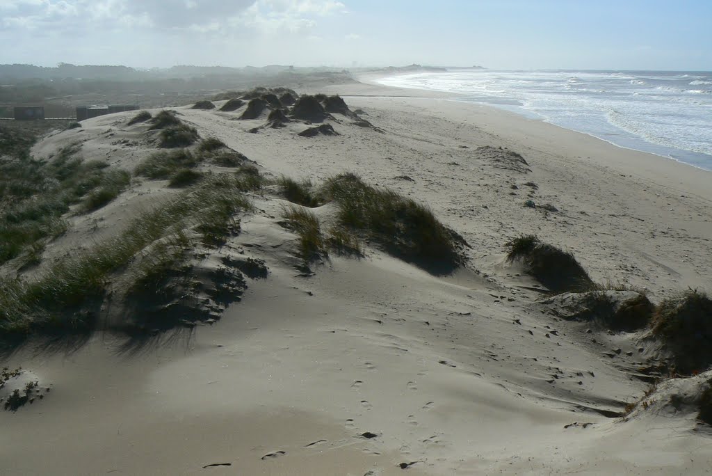 Dunas e praia em Apúlia by Johan__