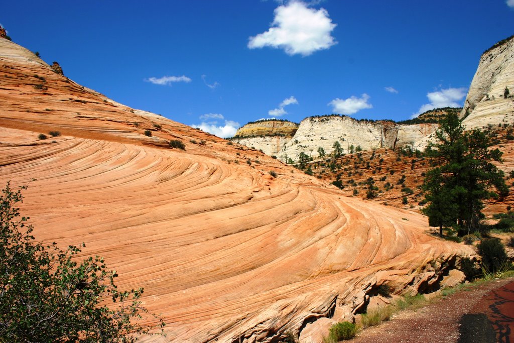 Crossing Zion NP 2 by Michael Goggioli