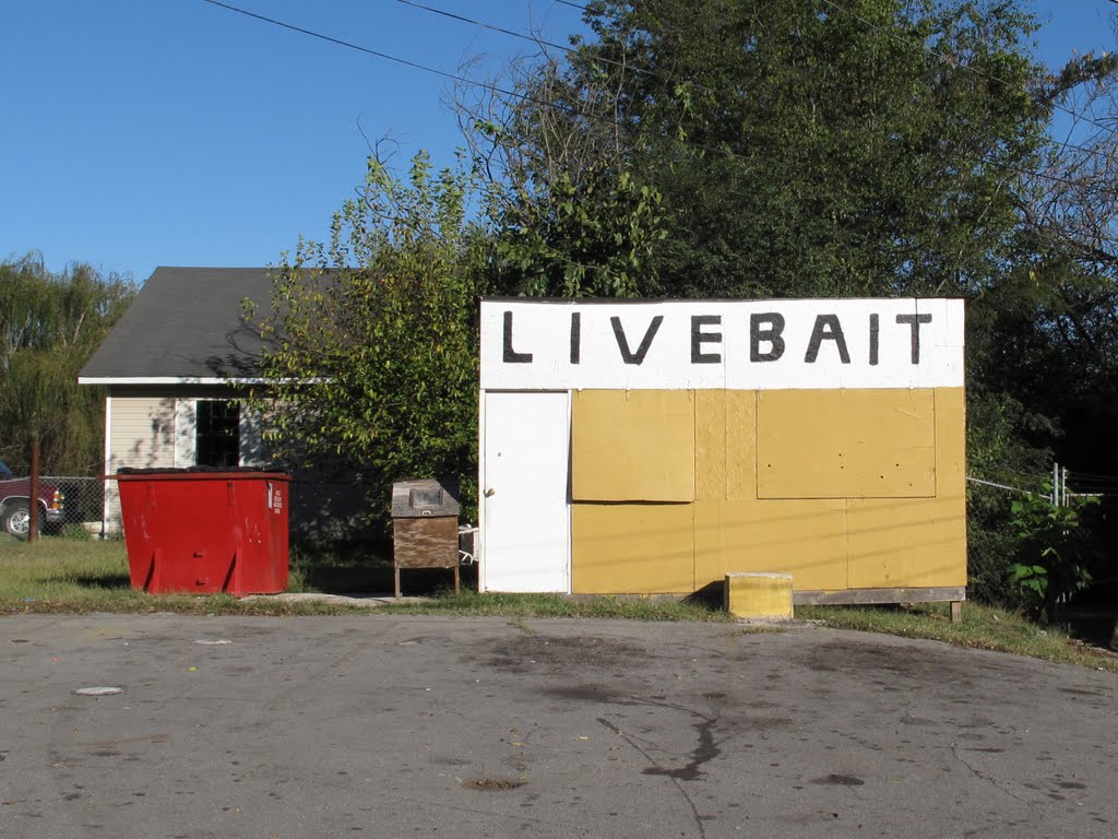 Live Bait, Mulga, Alabama by sidestreetsaturdays