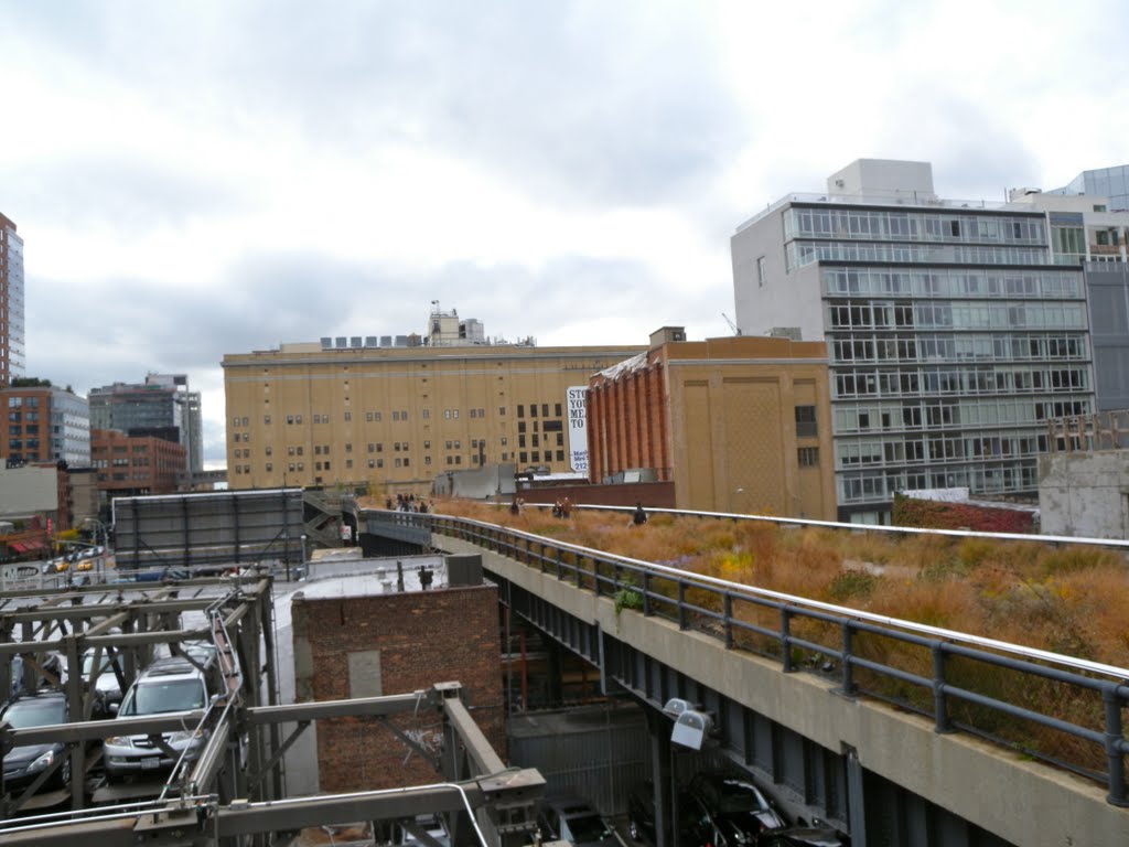 The High Line by Adam Elmquist