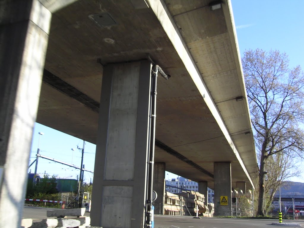 Bridge Zurich by Peter Ch Beckert