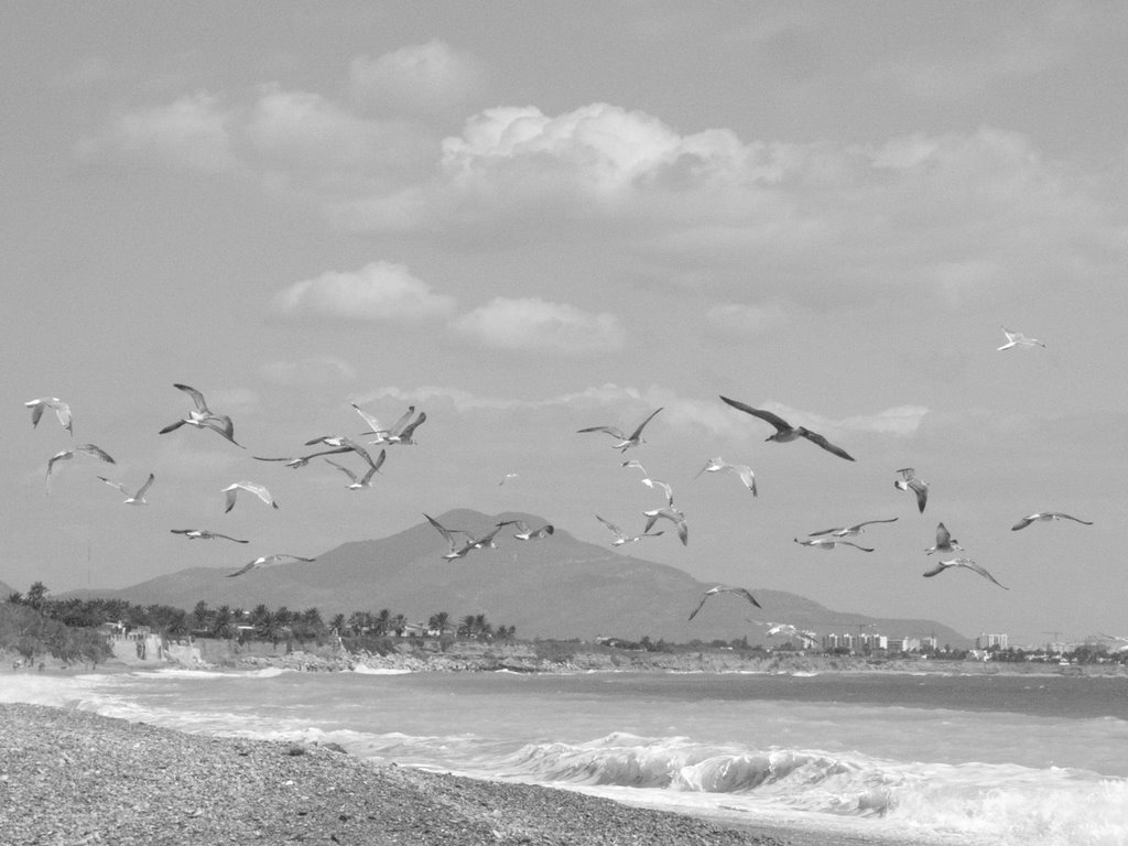 Mar Xica Beach - Benicarló by Enrique Rodriguez Ayala