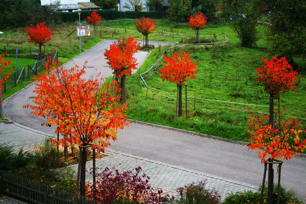 Herbst in Mainhardt by Peter Ch Beckert