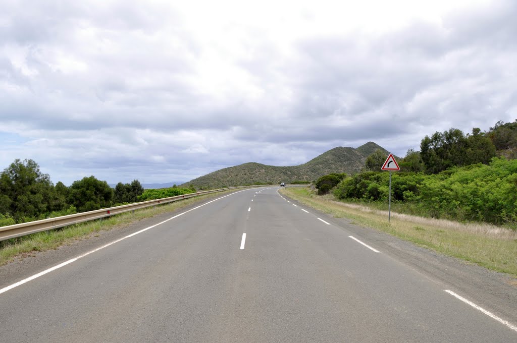 Virage sur la route de Koné, à Goyetta by m.claude