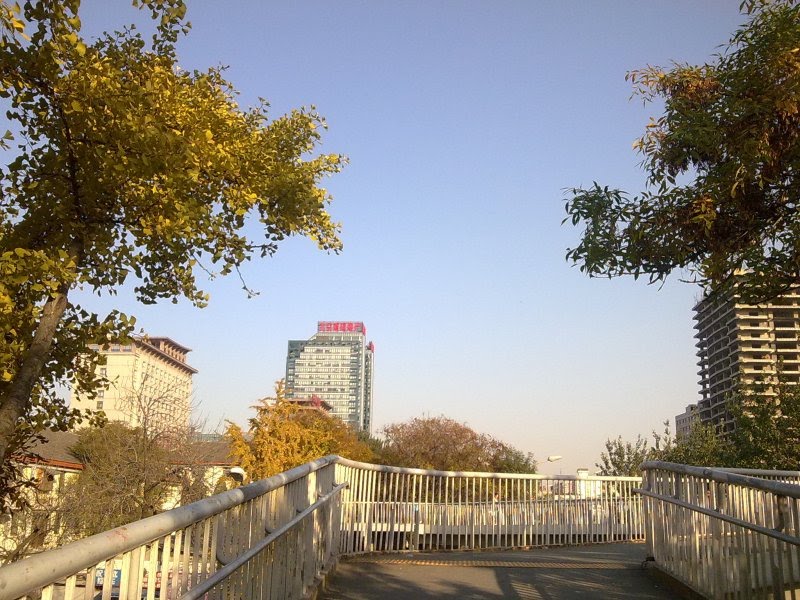 北太平桥附近 pedestrian bridge in North Peace Bridge neighborhood (Oct.2010) by eggmilk