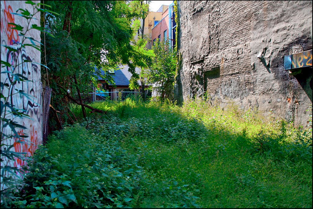 Vacant Lot - 276 East 3rd Street, NYC - September 2010 by LuciaM