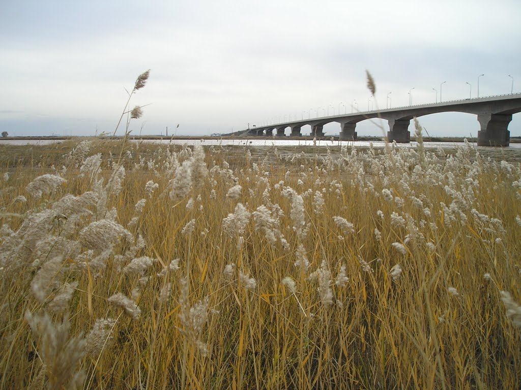 Dalad, Ordos, Inner Mongolia, China by chabbage