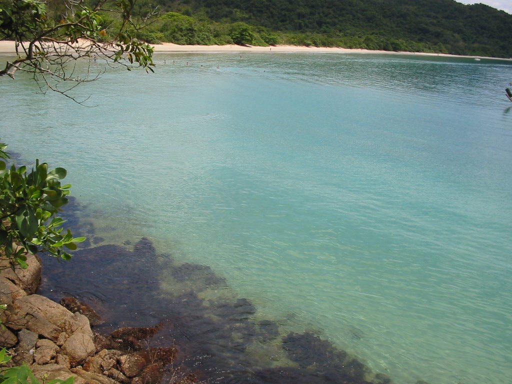 Vista parcial da Praia das Palmas - Ilha Anchieta/Ubatuba/SP by Eduardo V. Reis