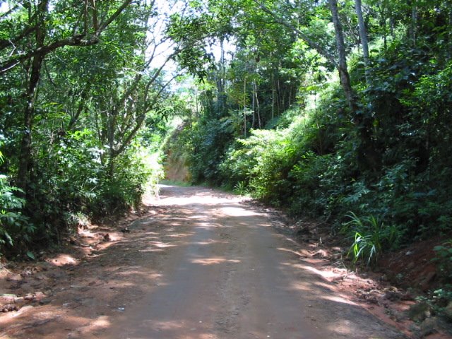 Estrada para Praia Ponta Aguda/Ubatuba/SP by Eduardo V. Reis