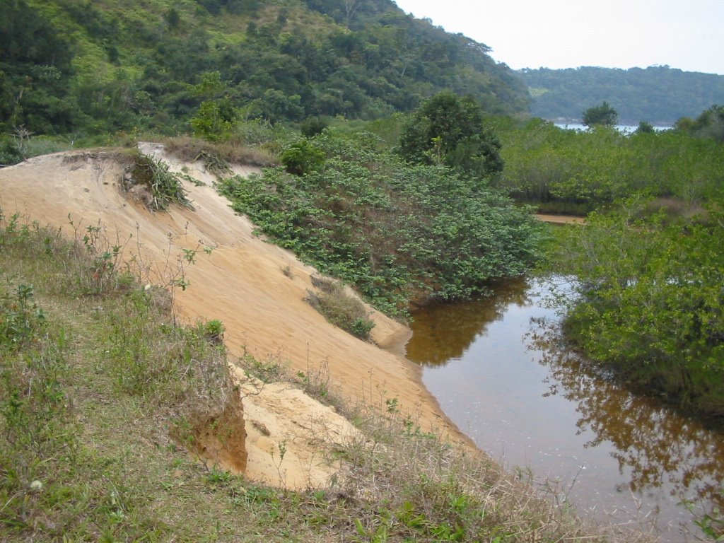 Mangue - Praia Ponta Aguda/Ubatuba/SP by Eduardo V. Reis