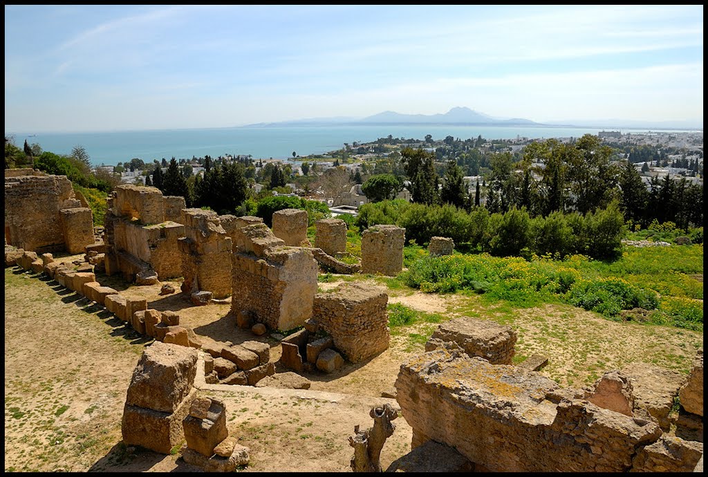 Carthage, ruines... by Jean-Pierre Roche