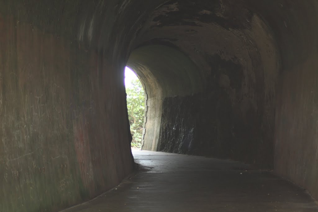 Tunel de Guajataca-Isabela by Ricardo David Jusino