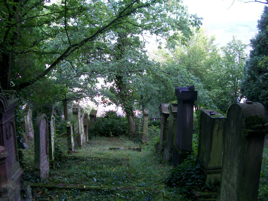 Jüdischer Friedhof in Bingen by apfelmooh