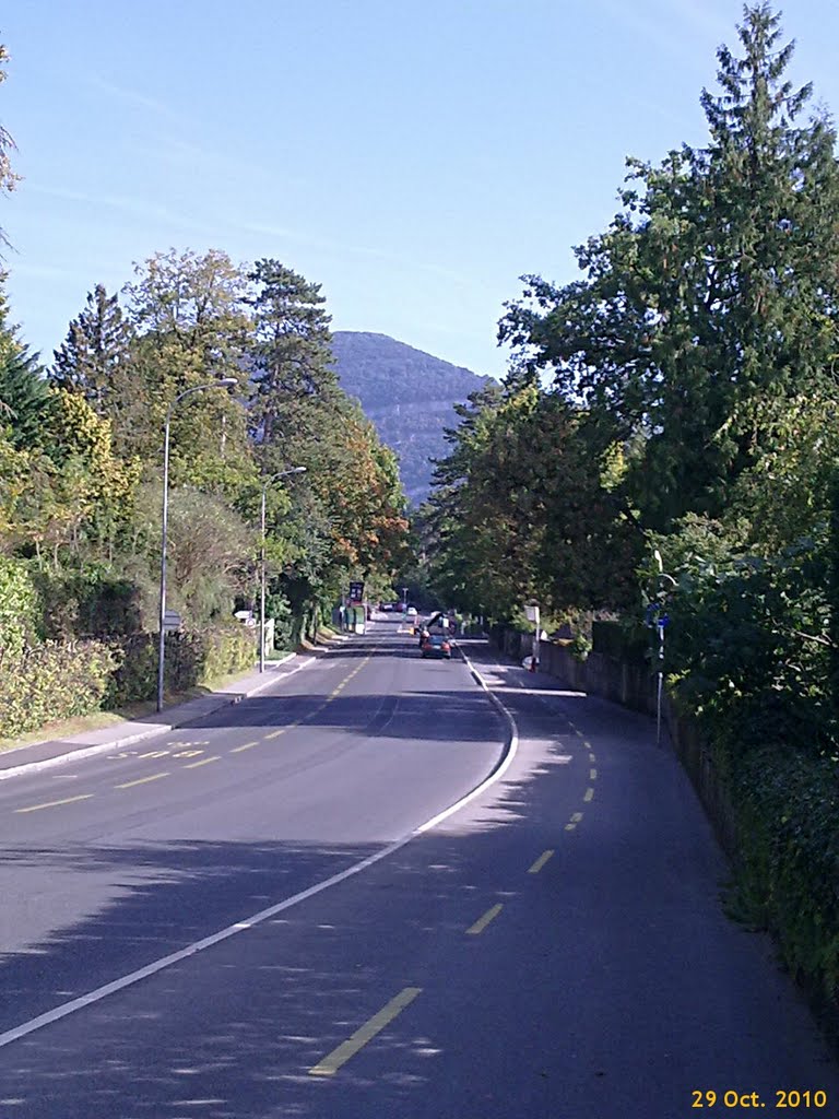 Route de Florissant, Conches - 2010 by Hugo Trentamiglia