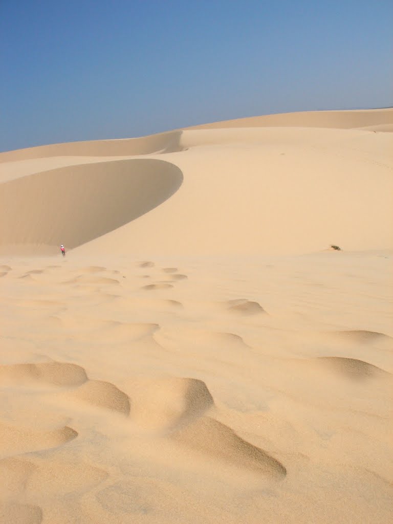 Sand Dunes, Vietnam by Alex Milazzo