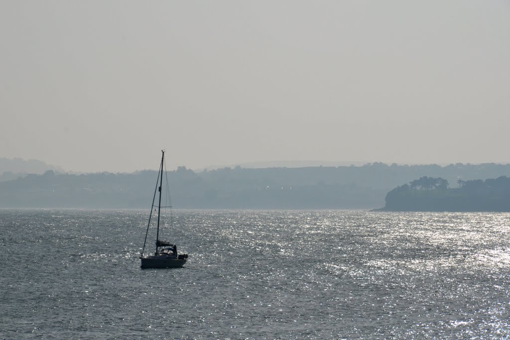 Silver sea by Bartolomeo Gorgoglione