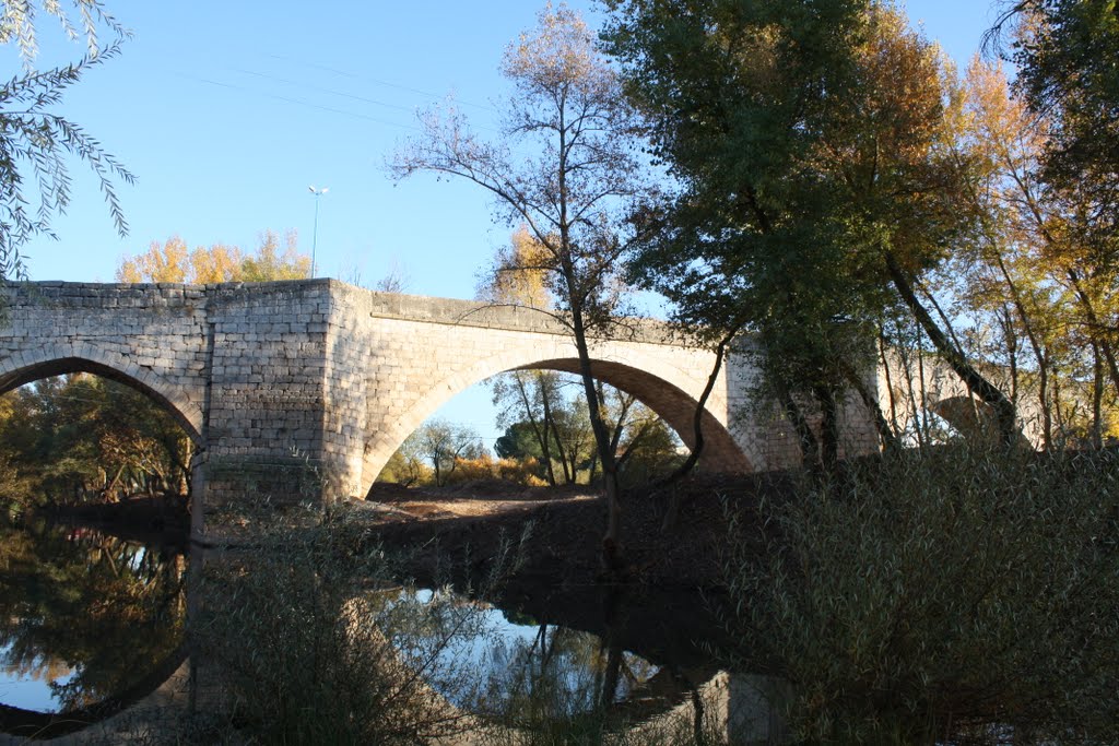 Puente Duero by cricra