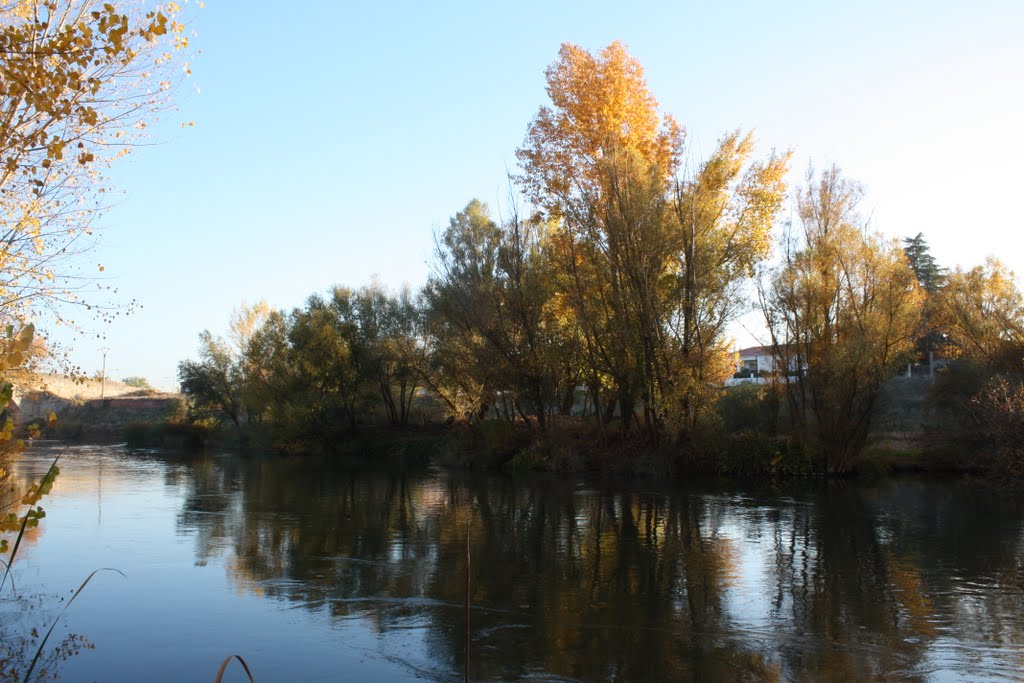 Otoño 2010 - Puente Duero by cricra