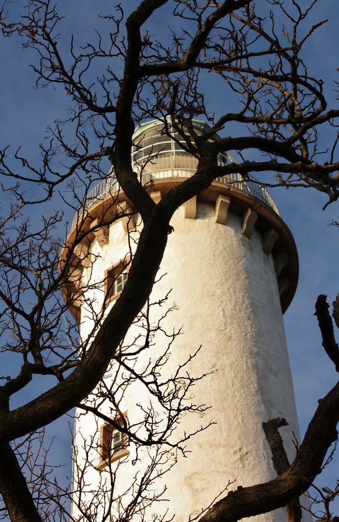 Under Långe Erik, northern Öland by Wayne Holmes